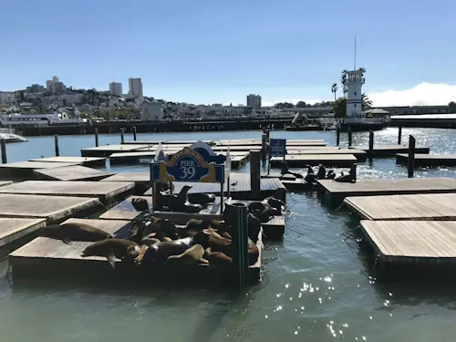 Pier 39